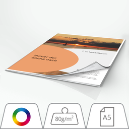 Broschüre - 80g/m² - farbig - A5
